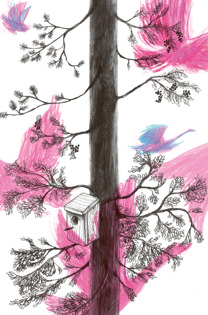 Color drawing of birds flying next to a tree